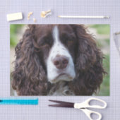 engels springer spaniel.png tissuepapier (Craft)