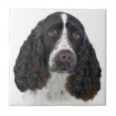 Engels springer spaniel Portrait Tiles Tegeltje (Voorkant)
