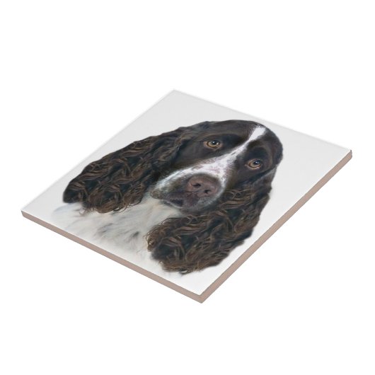 Engels springer spaniel Portrait Tiles Tegeltje (Zijkant)