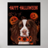 Engels Springer Spaniel Poster (Voorkant)