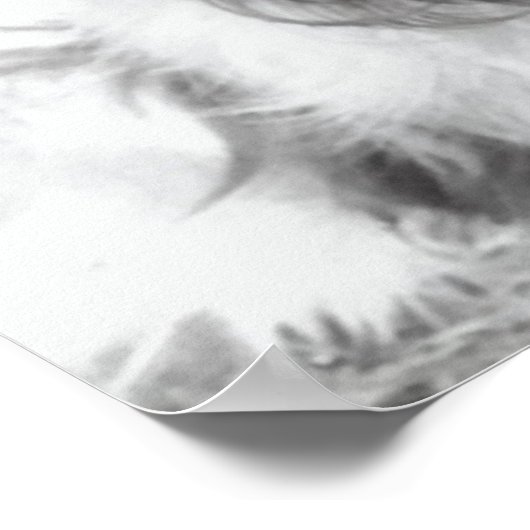 Engels Springer Spaniel Poster (Hoek)