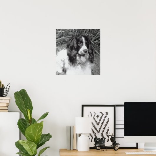 Engels Springer Spaniel Poster (Thuiskantoor)