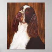 Engels Springer Spaniel Poster (Voorkant)