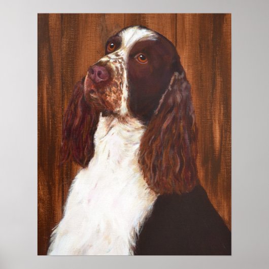 Engels Springer Spaniel Poster (Voorkant)