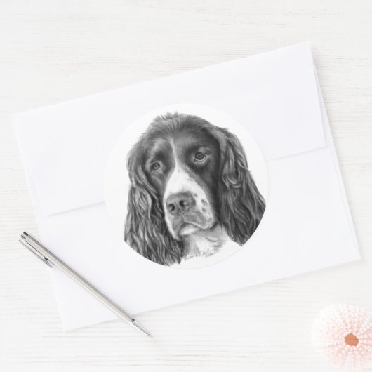 Engels Springer Spaniel Ronde Sticker (Envelop)