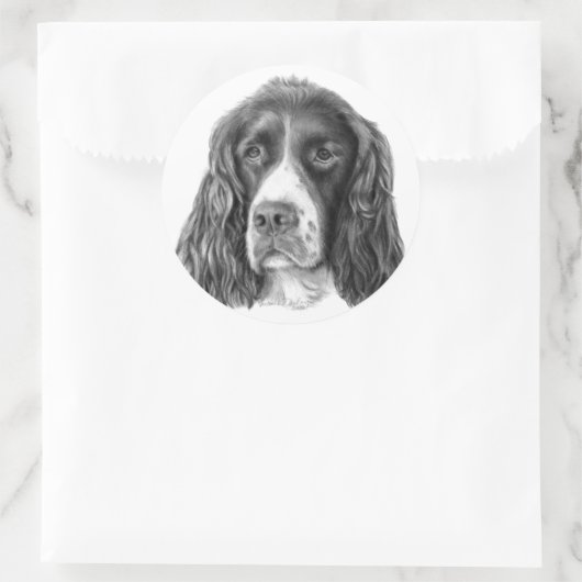 Engels Springer Spaniel Ronde Sticker (Tas)