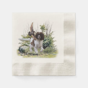 Engels Springer Spaniel Servet