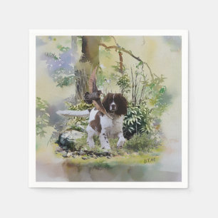 Engels Springer Spaniel Servet