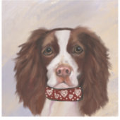 ENGELS SPRINGER SPANIEL STICKER (Voorkant)
