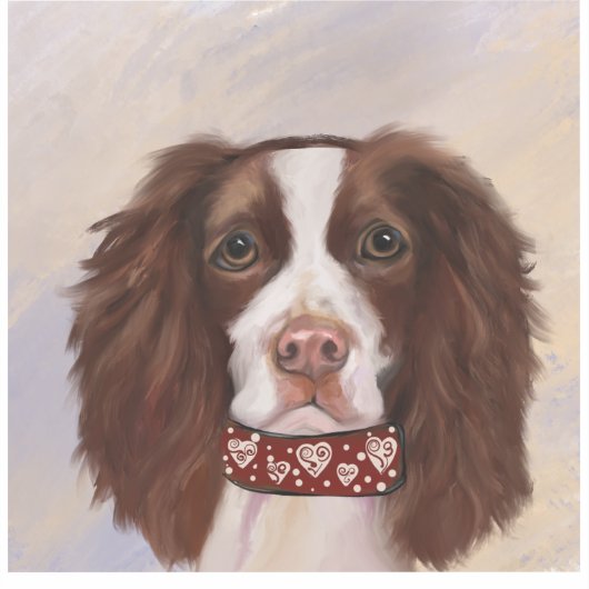 ENGELS SPRINGER SPANIEL STICKER (Voorkant)