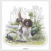 Engels Springer Spaniel Sticker (Vel)