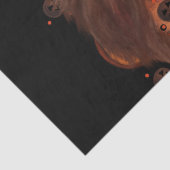 Engels Springer Spaniel Tissuepapier (Detail)