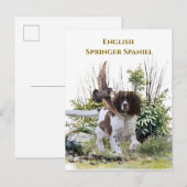 Engels Springer Spaniel Uitnodiging Briefkaart (Voorkant / Achterkant)