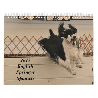 Engels Springer Spaniels 2013 Kalender