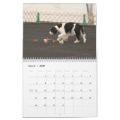 Engels Springer Spaniels 2013 Kalender (Mar 2027)