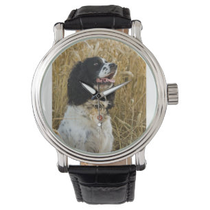 engels springerspaniel in tarwe.png horloge