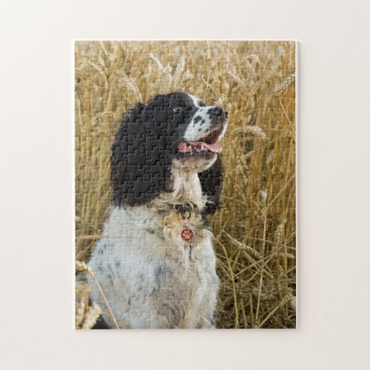 engels springerspaniel in tarwe.png legpuzzel (Verticaal)