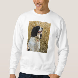 engels springerspaniel in tarwe.png trui