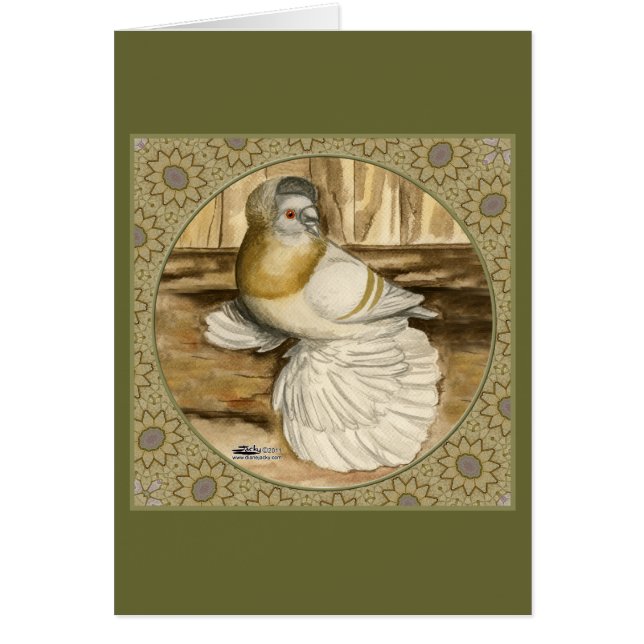 Engels Trumpeter Pigeon Gold Lijst (Voorkant)