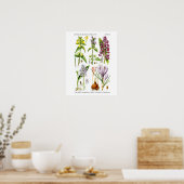 Engels Wildflower Art print nr. 10 Botanische kuns (Keuken)
