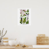 Engels Wildflower Art print nr . 8 Botanische kuns (Keuken)