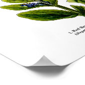 Engels Wildflower Art print nr . 8 Botanische kuns (Hoek)