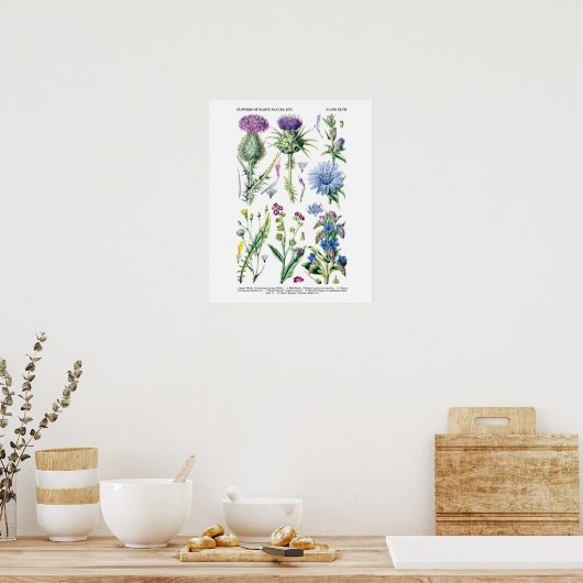 Engels Wildflower Botanical Art nr. 11 Poster (Keuken)