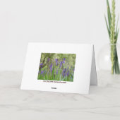 Engelse Bluebell Field Note Kaart (Achterkant)