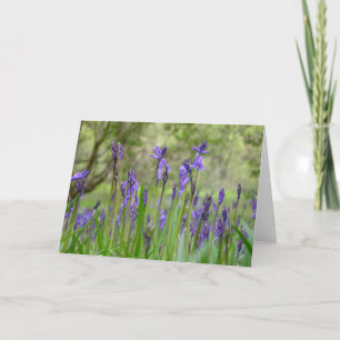 Engelse Bluebell Field Note Kaart