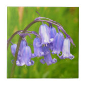 Engelse Bluebell Flower Tile Tegeltje (Voorkant)