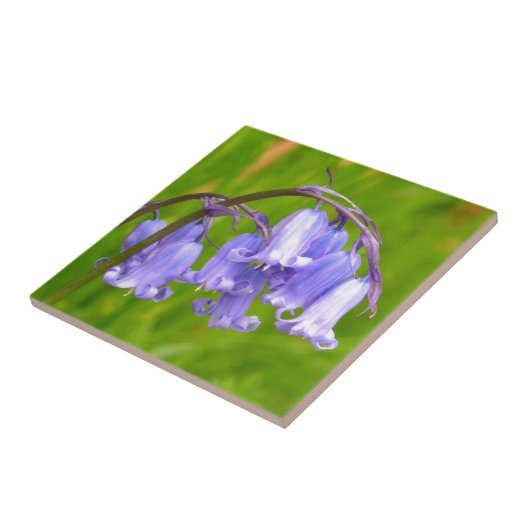Engelse Bluebell Flower Tile Tegeltje (Zijkant)