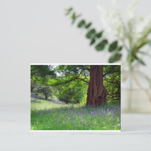 Engelse Bluebells Briefkaart (Staand voorkant)