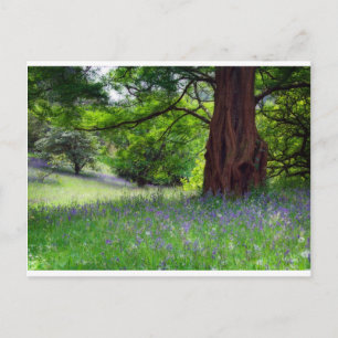 Engelse Bluebells Briefkaart