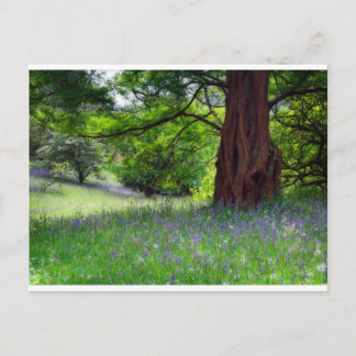 Engelse Bluebells Briefkaart