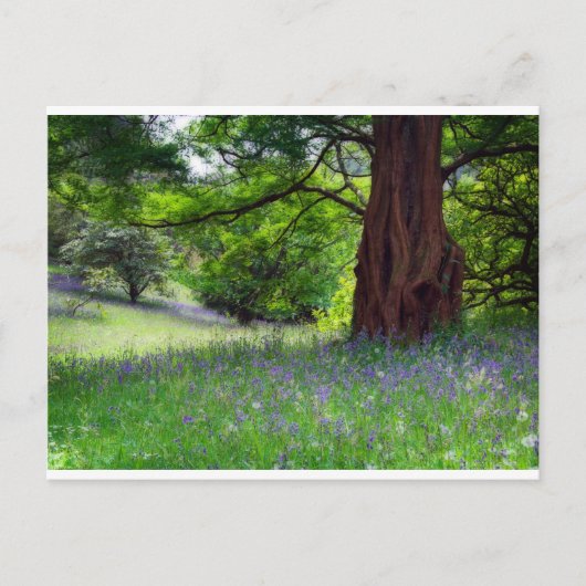 Engelse Bluebells Briefkaart (Voorkant)