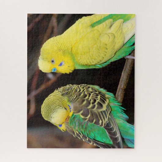 Engelse boedgie Paraket Bird Legpuzzel (Verticaal)