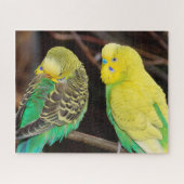 Engelse boedgie Paraket Bird Legpuzzel (Horizontaal)