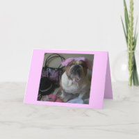Engelse Buldog in de Roze kaart van de Verjaardag