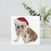 Engelse buldog met Santa Hat Feestdagenkaart (Staand voorkant)