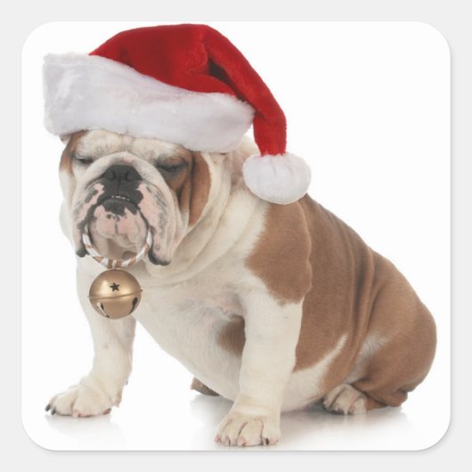 Engelse buldog met Santa Hat Vierkante Sticker (Voorkant)