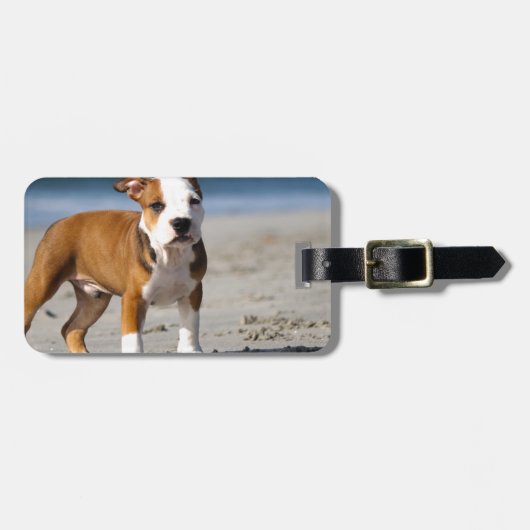 Engelse buldog puppy op het strand bagagelabel (Voorkant horizontaal)