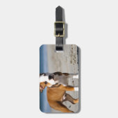 Engelse buldog puppy op het strand bagagelabel (Voorkant verticaal)