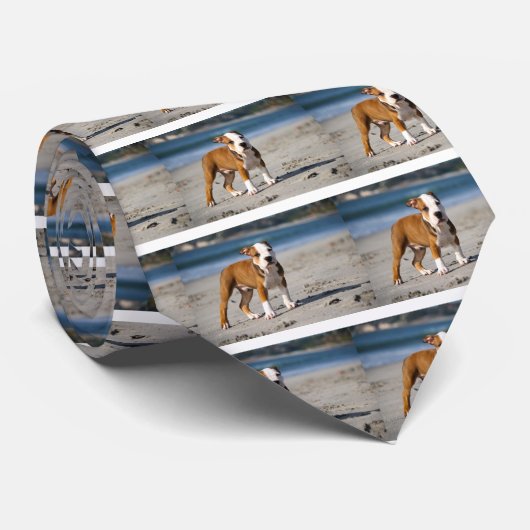 engelse buldog puppy op het strand stropdas (Opgerold)