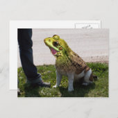 Engelse bulkfrog briefkaart (Voorkant / Achterkant)