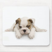 Engelse Bull Dog Mousepad Muismat (Voorkant)