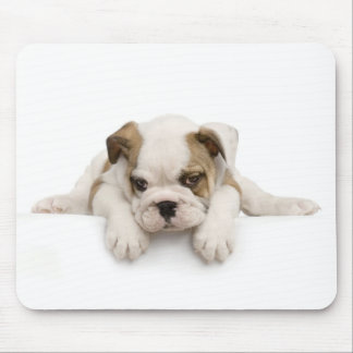 Engelse Bull Dog Mousepad Muismat