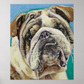 Engelse Bull Dog Poster (Voorkant)