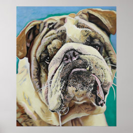Engelse Bull Dog Poster