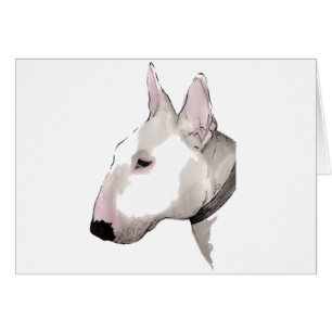 Engelse bull Terrier
