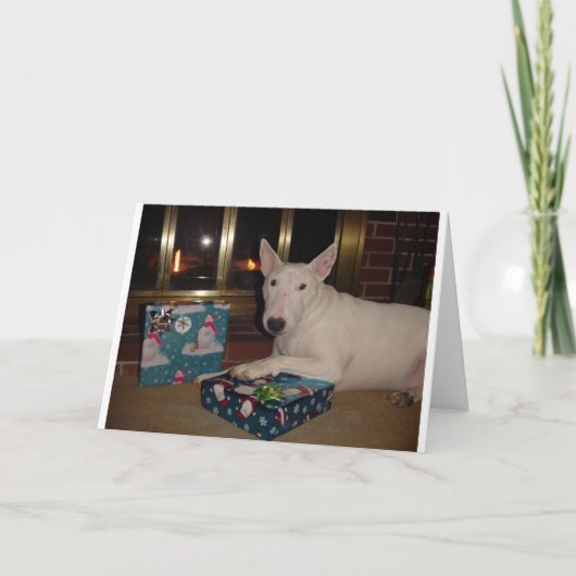 Engelse bull terrier aanwezige Kerstmis Feestdagen Kaart (Voorkant)